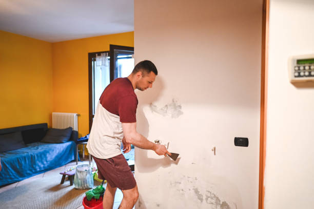 Best Mold Damage Repair  in Iona, FL